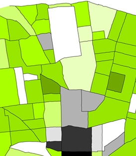 The 2010 Census Pt. I: The State of St. Louis