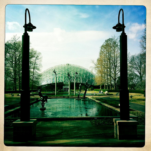 Hearts and Minds: Shifting the ZMD Institutions from Attractions to Assets