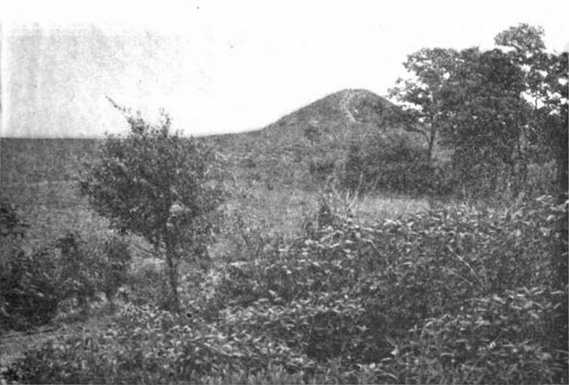 Bring Native American Mounds Back to Forest Park: a Rally STL Submission