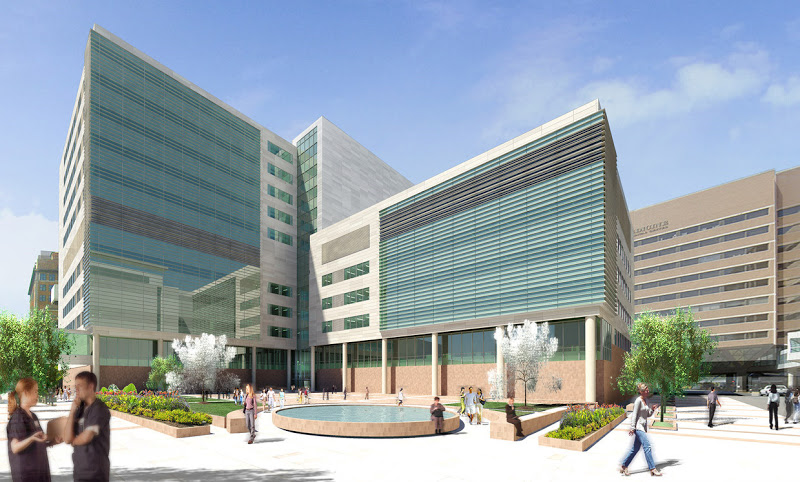 Maya Lin, Michael Van Valkenburgh to Lead Design of BJC/WU Medical Center Plaza at BioMed21