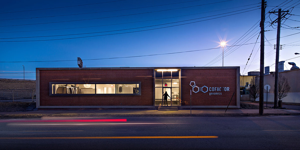 Cofactor Creates Cool in a Corner Cortex (with help from Arcturis)