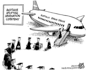 Buffalo cartoon