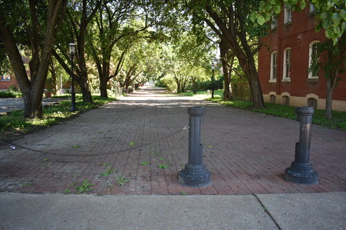 DSC_0544.JPG