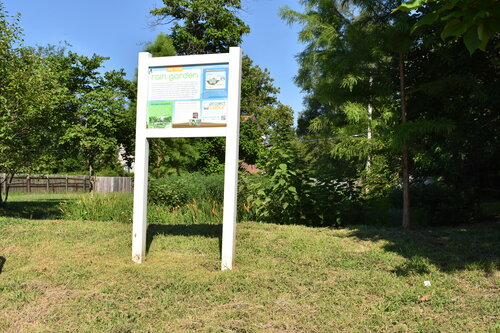DSC_0763.JPG