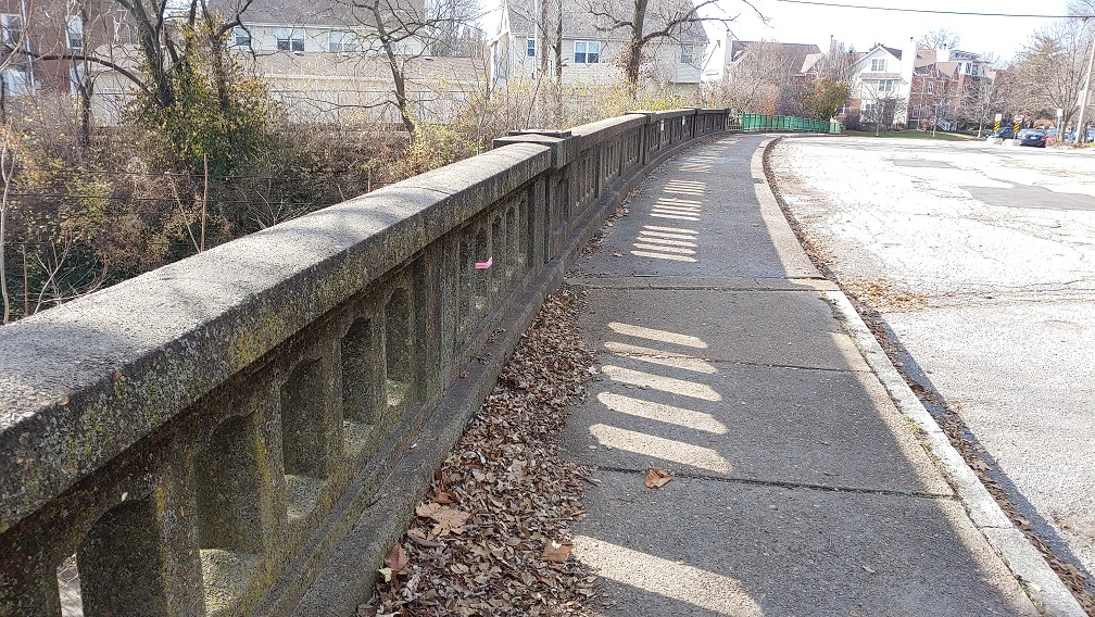 Were Our Ancestors Smart or Lucky? Hamilton Bridge Replacement