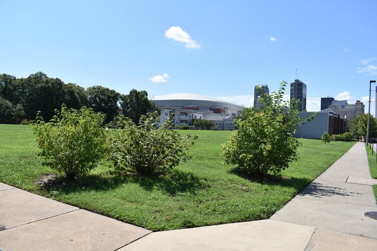 DSC_0830.JPG