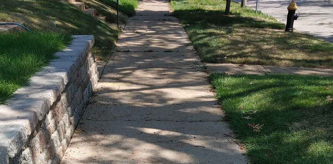 Reforesting STL in the Era of Climate Change